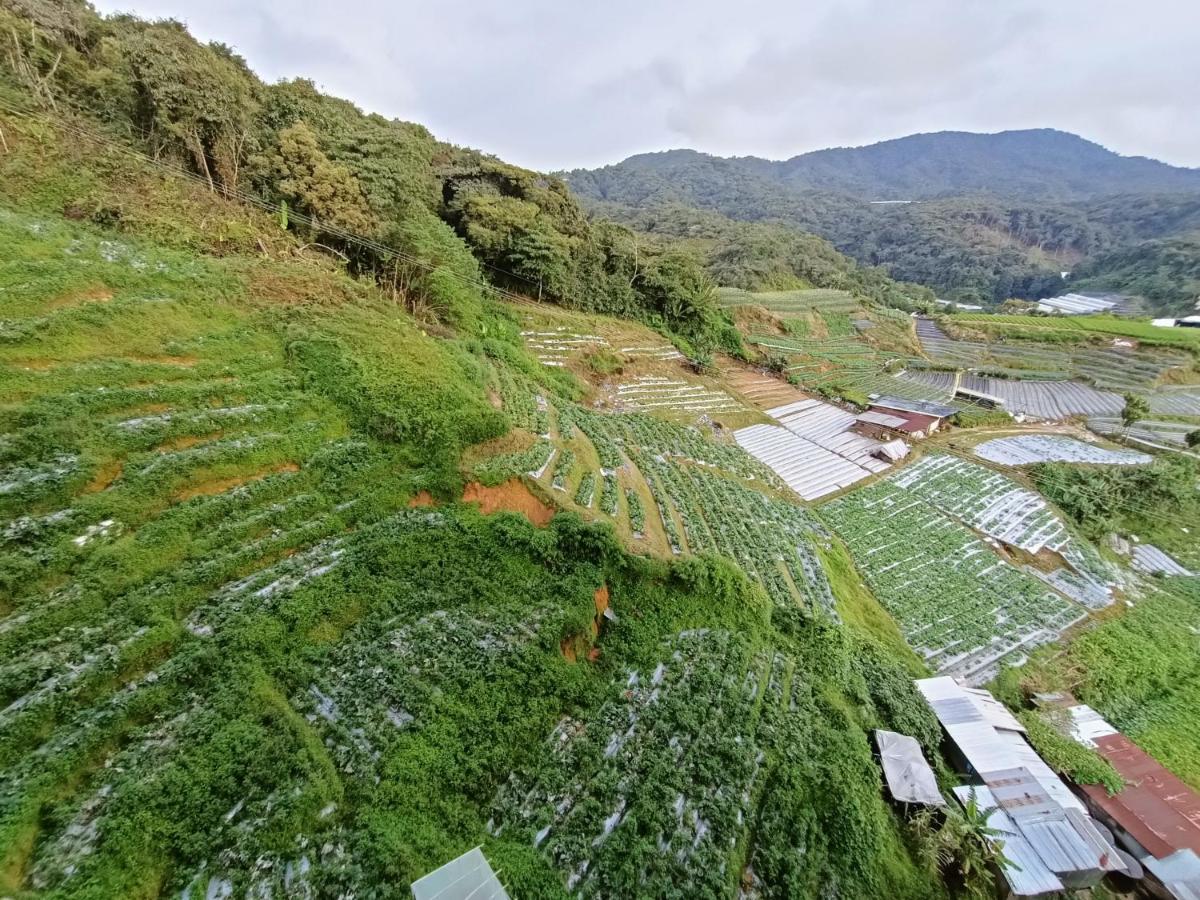 Dream 2 Cameron Highlands Exterior foto